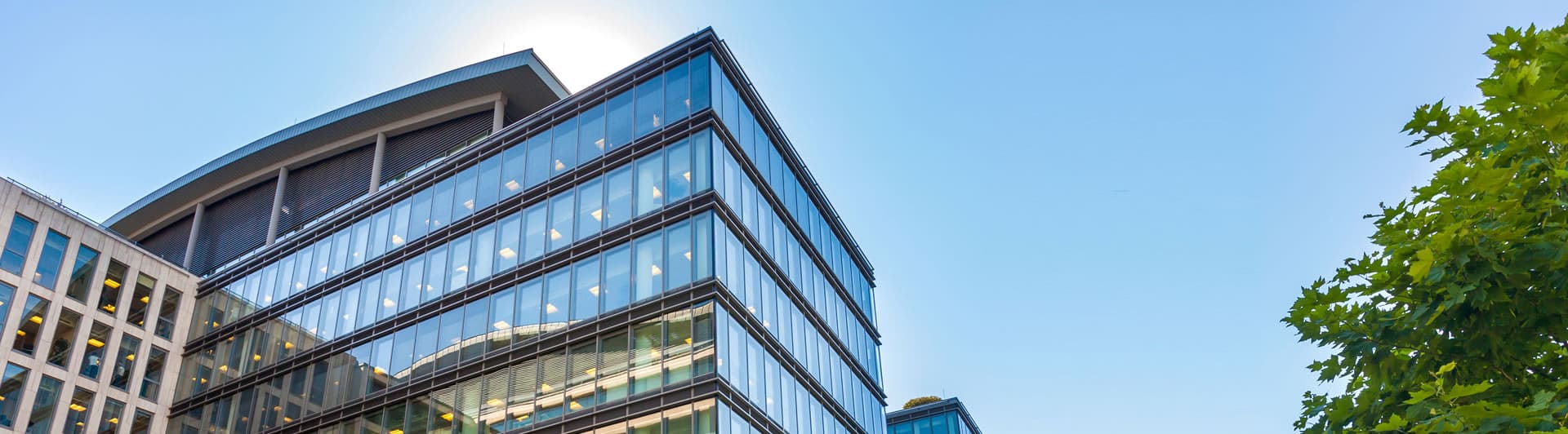 Company Profile